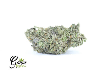 Greenstar Farms Gelato (Bulk)