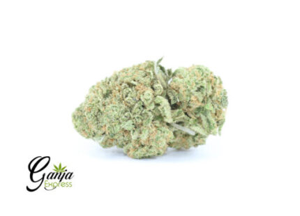 Greenstar Farms Lemon Cake (Bulk)