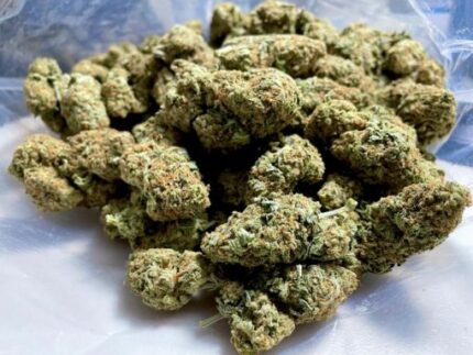 Kootenay Garden’s – Girl Scout Cookies