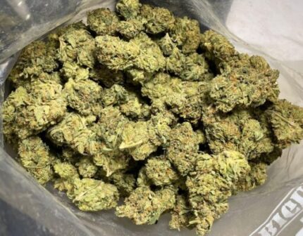 Budget $92 Oz – Grease Monkey