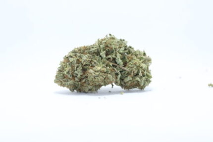 Laughing Buddha (Bulk)