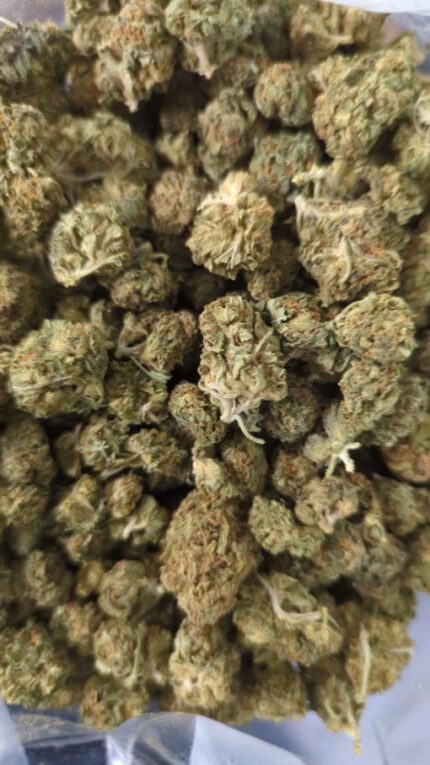 Kootenay Garden’s – Master OG