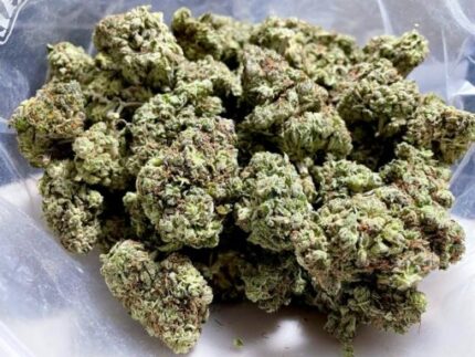 Kootenay Garden’s – Northern Light