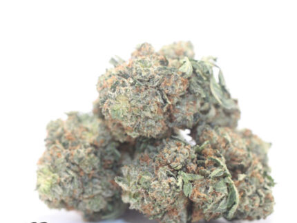 $72 Oz – Purple Bubba