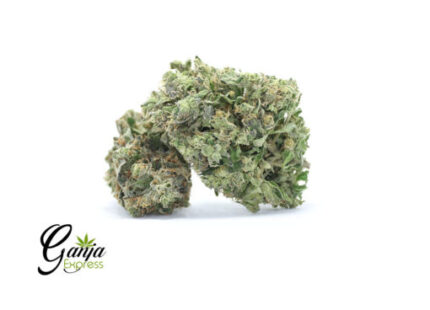 House Pink Kush (Bulk)