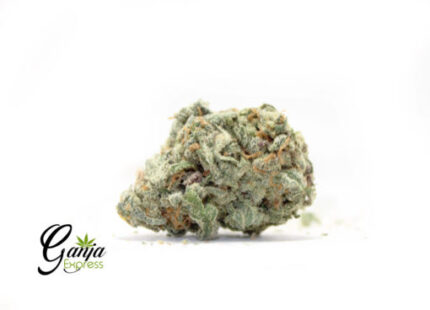 Emily’s Purple Nuken (Bulk)