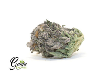 $80 Oz – Purple OG Kush