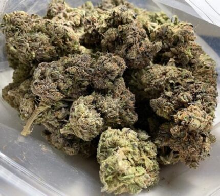 Kootenay Garden’s – Purple Tuna Kush