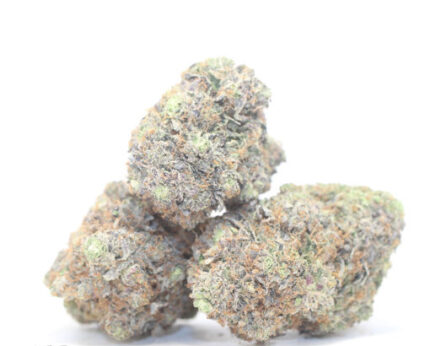 Rockstar Master Kush