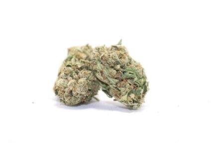 Emily’s Skywalker OG (Bulk)