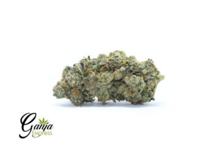 Strawberry Jerry (Bulk)