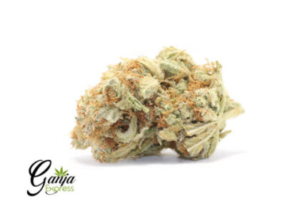 Emily’s Cookie Dough (Bulk)