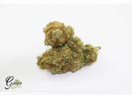 Orange Zkittlez (Bulk)