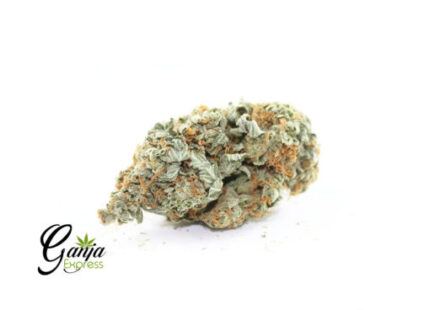 Black Licorice (Bulk)