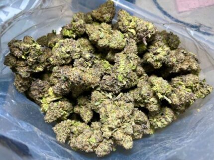 Budget $62 Oz – Alien Technology