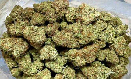 Budget $59 Oz – Amaretto Sour