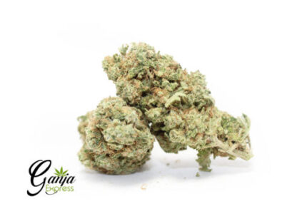 House Amnesia Haze (Bulk)