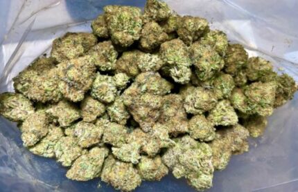 Budget $70 Oz – Banana Cream OG