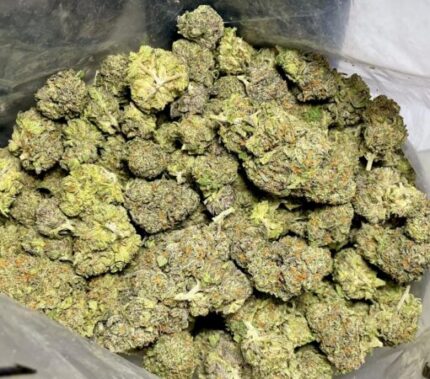 Budget $67 Oz – Bloo’s Kloos