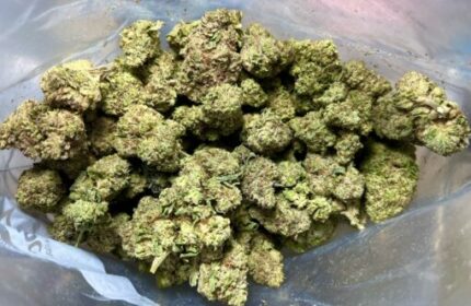 Budget $68 Oz – Bonkers