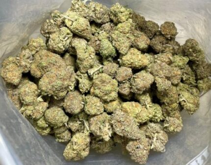 Budget $79 Oz – Matanuska Thunder Fuck