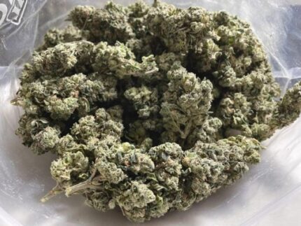 Kootenay Garden’s – Chemdawg