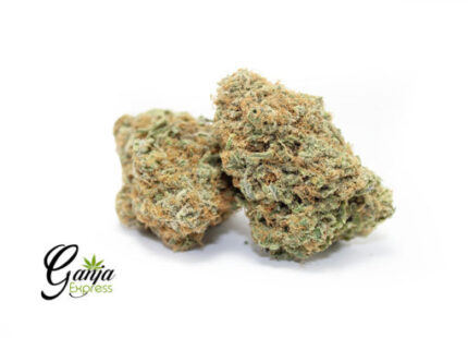 Chocolate Chips Cookies (Bulk)