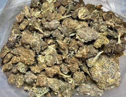 Budget $45 Oz – Cold Creek Kush
