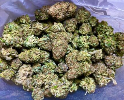 Budget $65 Oz – Dank Schrader