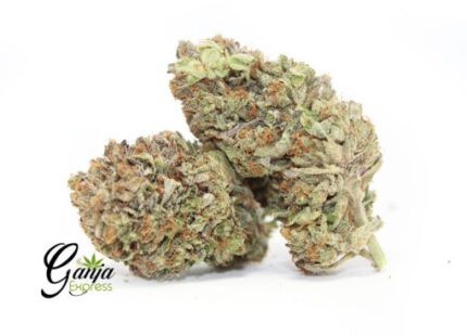 Emily’s Death Bubba (Bulk)