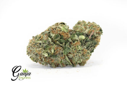 Emily’s Death Bubba #2 (Bulk)