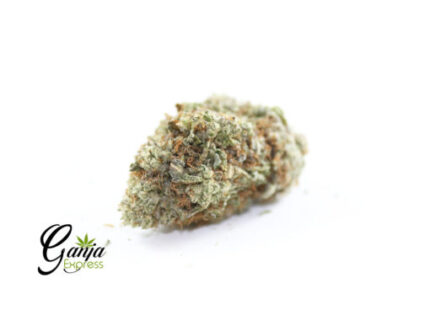 Emily’s Durban Poison (Bulk)