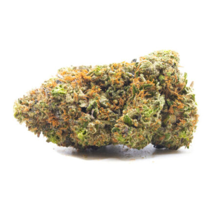 Budget $101 Oz – El Jefe