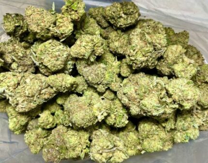 Budget $67 Oz – Electric Kool Aid