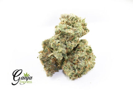 Wiz Khalifa’s Death Bubba (Bulk)