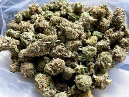 Kootenay Garden’s – Gelato 33