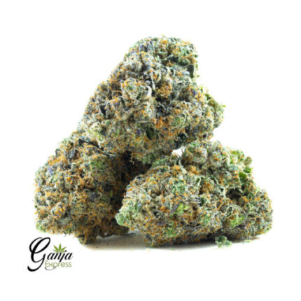 $120 Oz – King Louis XIII