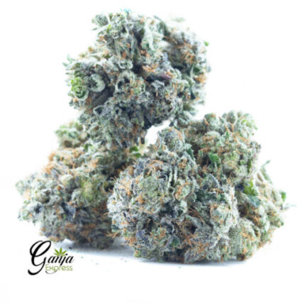 $95 Oz – Pink Death Star