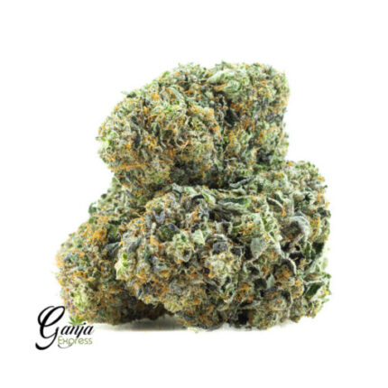$127 Oz – Holy Grail Kush