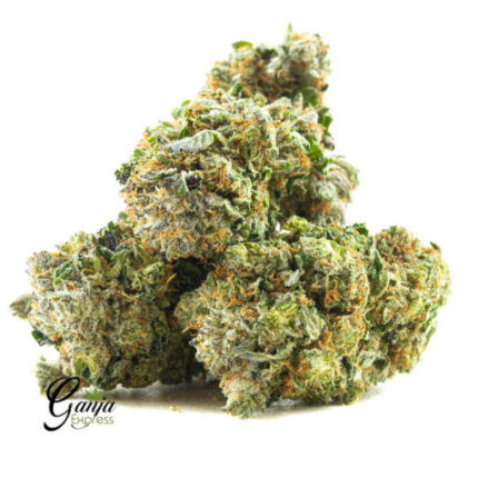$74 Oz – Pink Kush