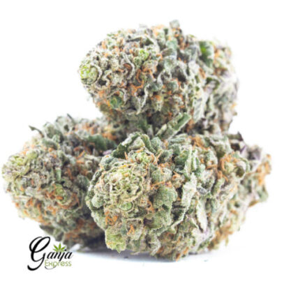 $58 Oz – Critical Kush