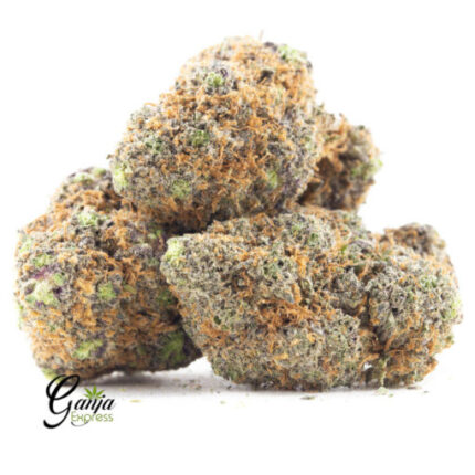 $58 Oz – Dutch Treat