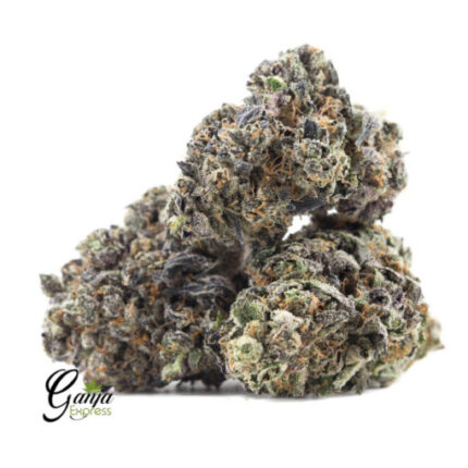 $58 Oz – Black Cherry OG