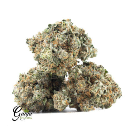 $80 Oz – GodFather OG
