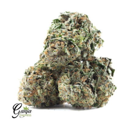 $74 Oz – Rolex OG Kush