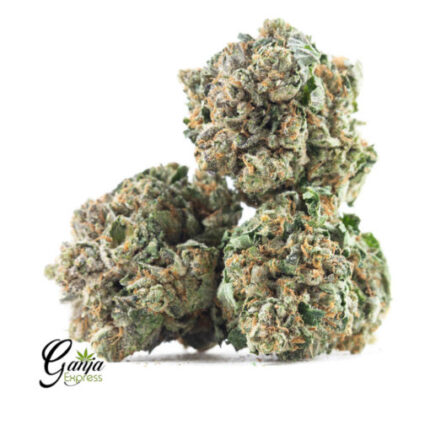 $70 Oz – Purple Kush