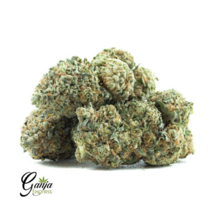 $52 Oz – Lemon Meringue