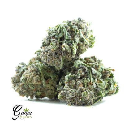 $67 Oz – Purple Candy (Greenstar Farms)
