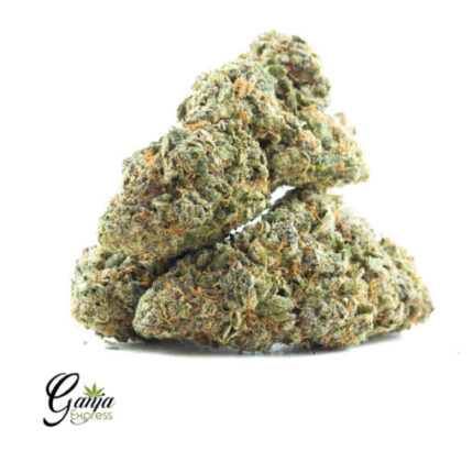 $61 Oz – Runtz