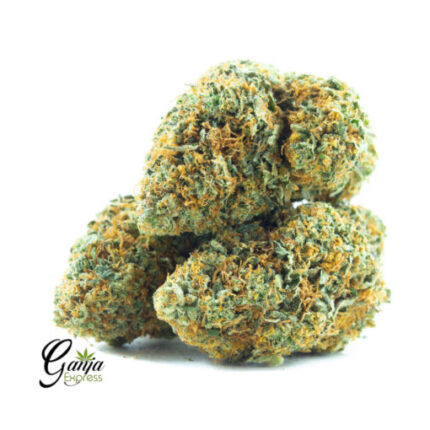 $56 Oz – Gelato Dream